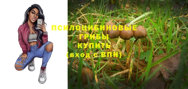 стафф Алзамай