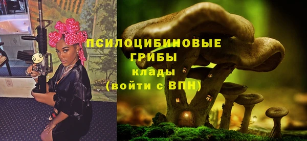 ешки Алексин