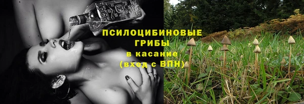 стафф Алзамай