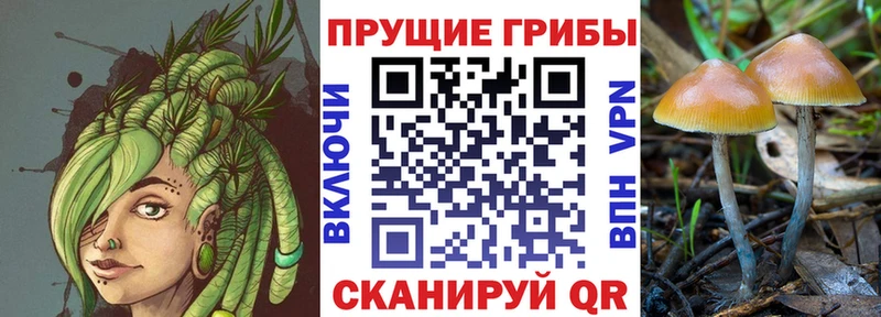 Псилоцибиновые грибы мицелий  Шелехов 